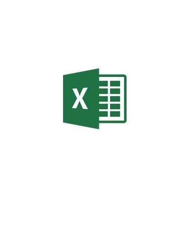 Excel document